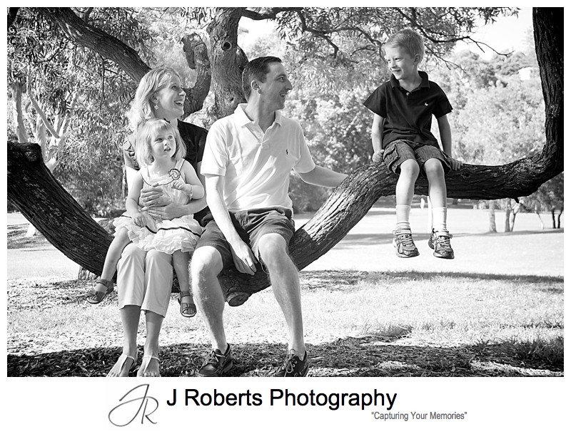 Family portrait in a tree - family portrait photography sydney